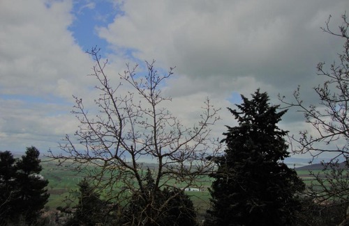 Panicale Cabin | Il vecchio frantoio