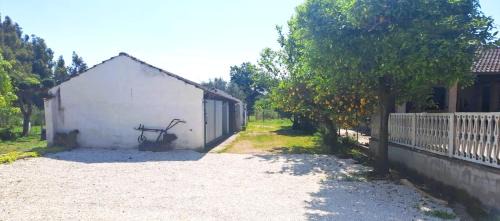 Santi Cosma e Damiano Apartment | Il Verde Rifugio