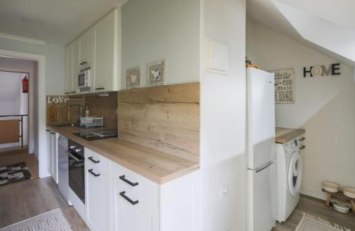 Sallent de Gallego Apartment | Ilargi, cálido, familiar, garaje y petfriendly - Arafita Apartamentos