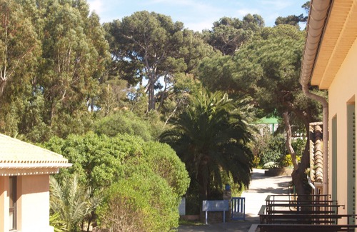 Porquerolles Apartment | Ile de Porquerolles Apartment