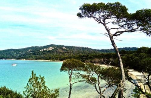 Porquerolles Apartment | Ile de Porquerolles : T3 climatisé vue mer