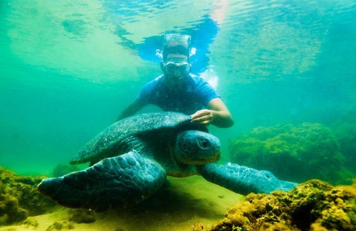 Mambucaba Villa | Ilha do Major