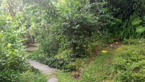 Ilha Grande House | Ilha Grande - Casa Praia da Longa