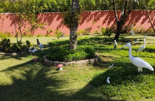 Ilhabela Cabin | Ilhabela Natureza