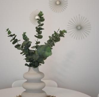 Karditsa Apartment | Iliana's apartment