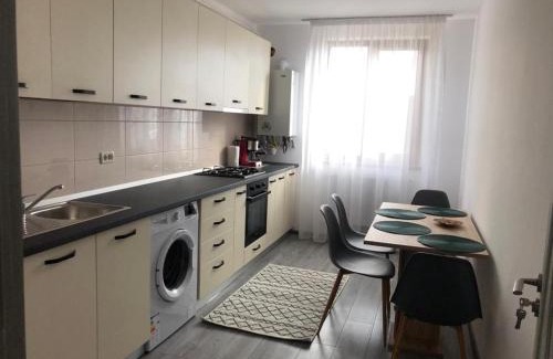 Piatra Neamt Apartment | Ilinca-ZGATIA