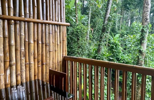 Kunchithanny Cottage | Illi Villa Cozy Bamboo claded Nature friendly cottage in Munnar in Spices farm