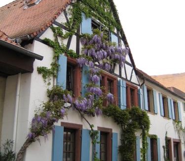 Rhodt unter Rietburg Apartment | Im Alten Kaufhaus