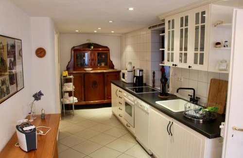 Rhodt unter Rietburg Apartment | Im Alten Kaufhaus