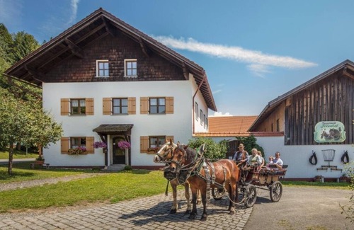 Eppenschlag Apartment | Im Bayerwald-Stil gestaltete FeWo (60 m2) mit eigener Terrasse