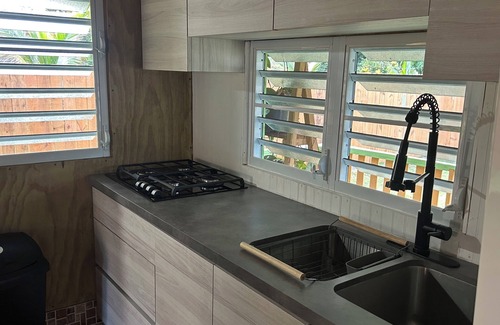 Anasco House | Imagined Future Guest House - River and beach side house
