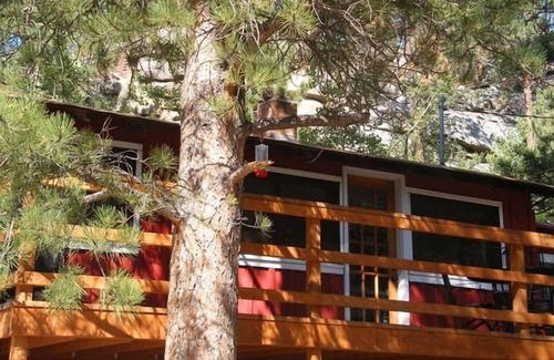 Drake Cottage | Immaculate Seashell River Cabin at Estes Park