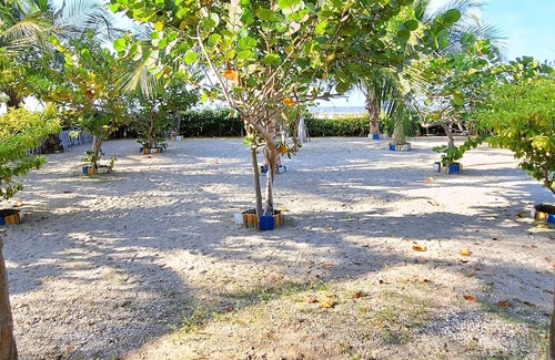 Puebloviejo Apartment | Immerse yourself in the tropical experience you deserve.