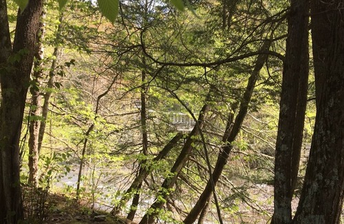 Phoenicia Other | IMMERSE YOURSELF IN NATURE IN A HOUSE OF CHARACTER NOW 170 a night