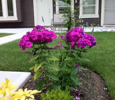 Burnaby Bed & Breakfast | Imperial House