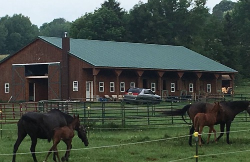 Cooperstown House | In Cooperstown this attached cabin on our summer home “screams, country living!