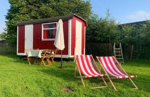 Watervliet Other | In de Wolf
