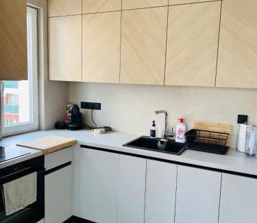 Dragijevo Apartment | IN&P Apartment 2