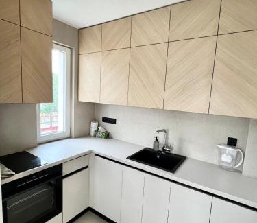 Dragijevo Apartment | IN&P Apartment 2