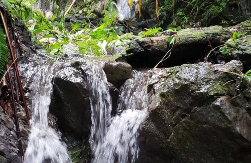 Carate House | in the heart of the forest, Near Corcovado National Park.