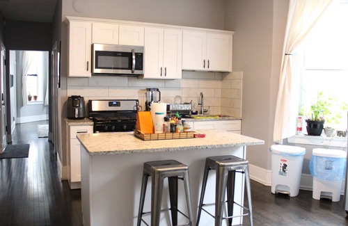 Little Village Apartment | In the Heart of Little Mexico! Shared Stylish Apartment in Chicago