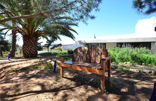 Valle de Guadalupe Cabin | In the Heart of the Valle.Casa DaNik Cabin A