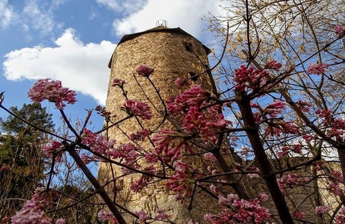 Weinheim Apartment | In the heart of Weinheim's old town - live comfortably in harmony with nature!