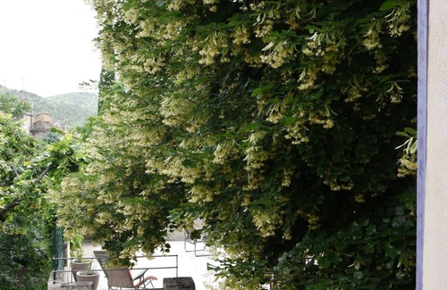 Mollans-sur-Ouveze House | In the shade of the lime tree