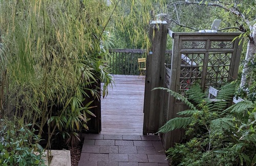 Tamalpais-Homestead Valley Apartment | "In the Trees" Private apartment in a house