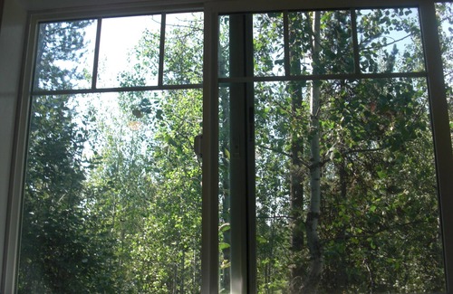 McCall Cabin | In town deep woods seclusion, 2br+sleeping loft