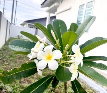 Durian Sebatang House | Inang Homestay