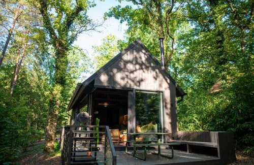 Biron Ski Chalet | Inarden Yosemite Cabin