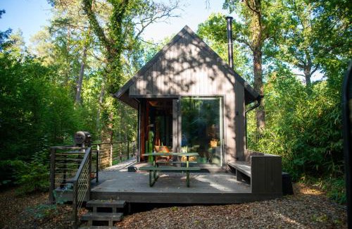 Biron Ski Chalet | Inarden Yosemite Cabin