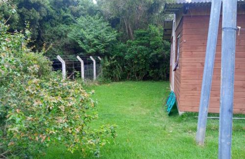 Muquem Other | Inature