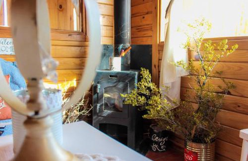 Uspallata Ski Chalet | Inca Roca