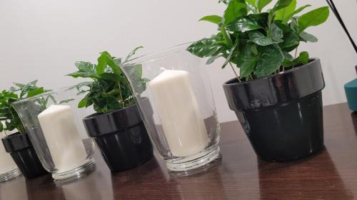 Starogard Gdanski Apartment | Incanto Apartament