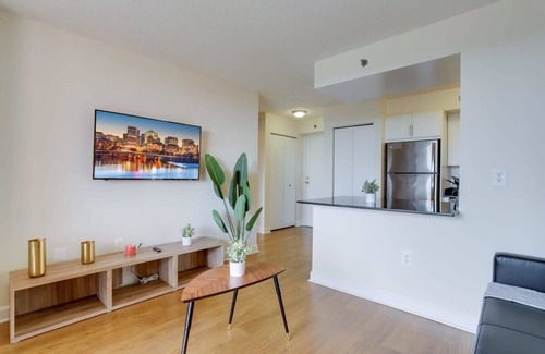 Pentagon City Apartment | Incredible Apartment with Rooftop in Pentagon City