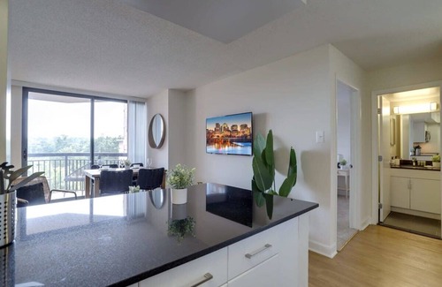 Pentagon City Apartment | Incredible Apartment with Rooftop in Pentagon City
