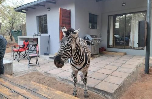 Marloth Park Apartment | Indaba Kruger Safari The Cottage