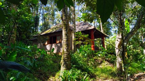 Thekkady House | Indhrivanam