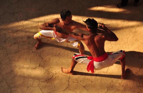 Nedumangad Resort | INDIMASI - Ayurveda & Healing Village