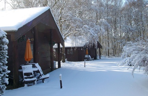 Ashford House | Indoor Pool beautiful 2 bed lodge sleeping 4 in 5 acres of beautiful Woodland