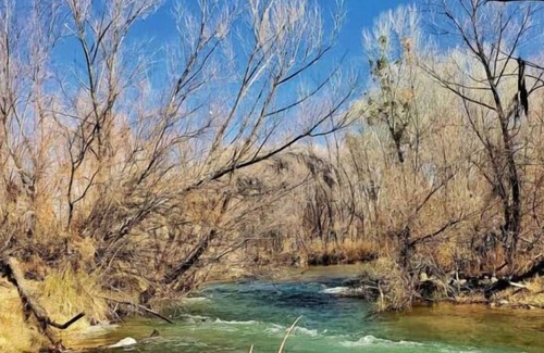 Camp Verde House | Indulge in Home Like comfort! Pool, Pets Allowed Near Ernest A Love Field