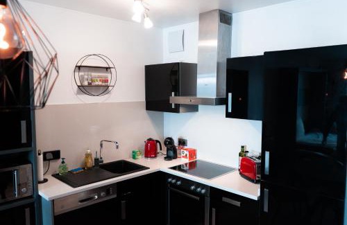 Esch-sur-Alzette Apartment | Industrial Apartment in Belval the University City