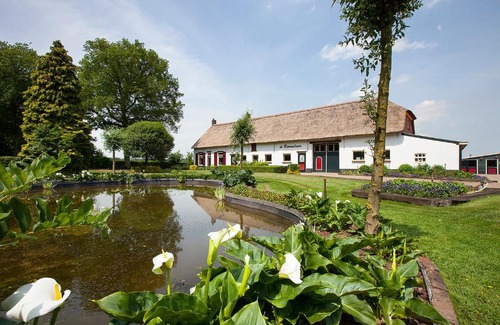 Bergen op Zoom House | Inge's Cottage