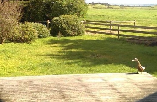 Yanakie House | INLET COTTAGE - located at Wilsons Promontory