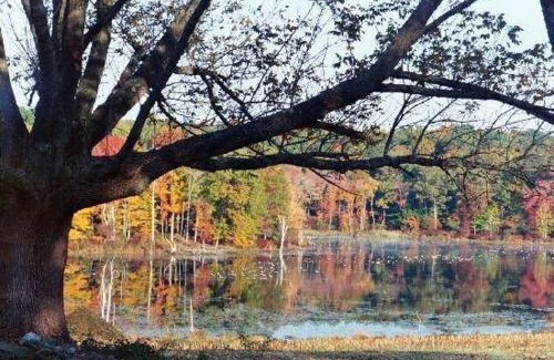 Pomfret Bed & Breakfast | Inn at Fox Hill Farm