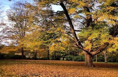 Pomfret Bed & Breakfast | Inn at Fox Hill Farm