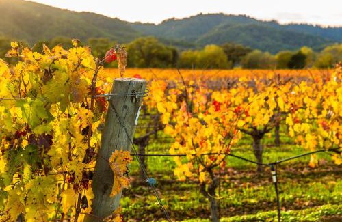 St. Helena Bed & Breakfast | Inn St Helena