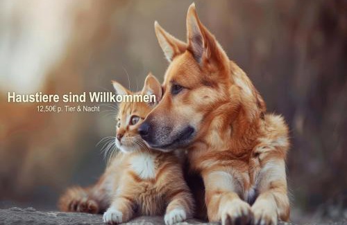 Buschvitz Hotel | Inselhotel kleiner Bodden